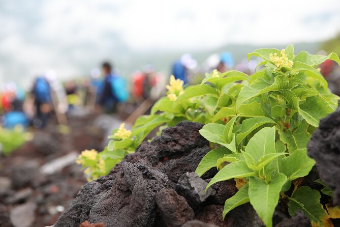 Trekking Mount Fuji in One Day From Marunouchi 2024 - Tokyo - Tour Details