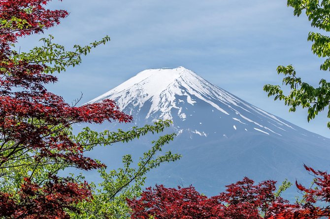 Mount Fuji Day Trip From Tokyo With a Local: Private & Personalized - End Point and Additional Information