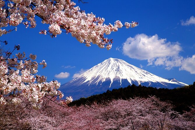 Virtual Tour to Discover Mount Fuji - Inclusions