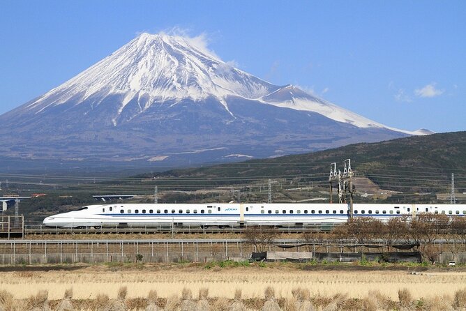 Virtual Tour to Discover Mount Fuji - Meeting and Pickup