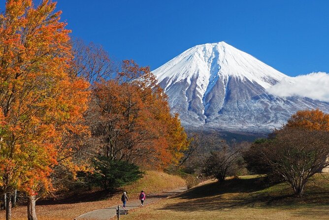 Virtual Tour to Discover Mount Fuji - Tour Overview