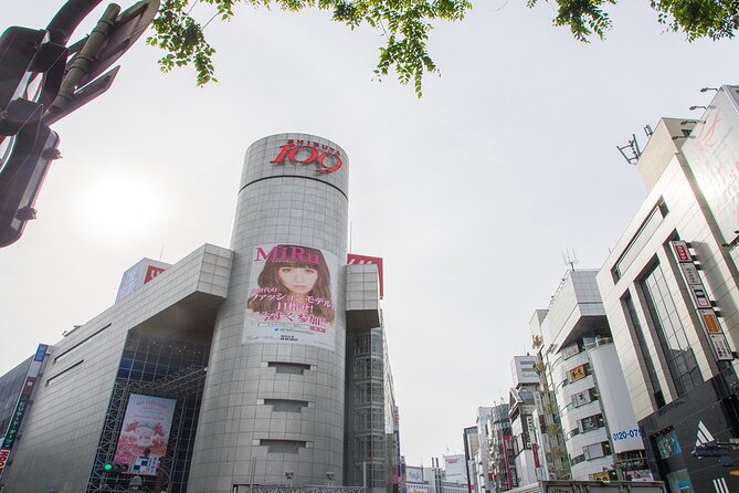 Full-Day Private Tour in New Shibuya - Itinerary