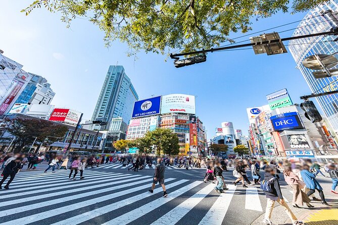 Full-Day Private Tour in New Shibuya - Private Guide