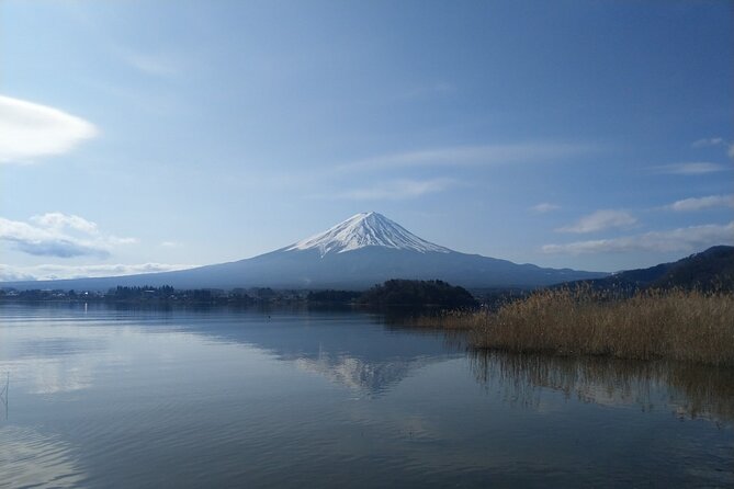Mt Fuji With Kawaguchiko Lake Day Tour - Transportation