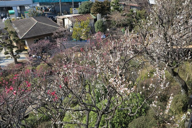 Historic Temple・Traditional Japanese Garden＆ Eating Around at a Shopping Strip - Learning the History of the Area