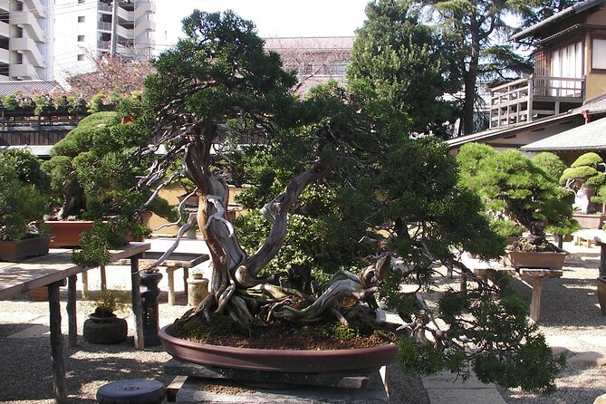 Bonsai and Washi Museum Visit in Tokyo - Quick Takeaways