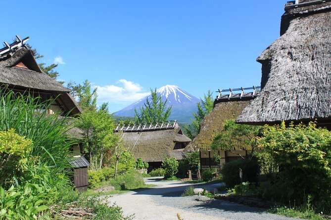 Fuji Spiritual Private Tour With Lunch and Dinner - Additional Information