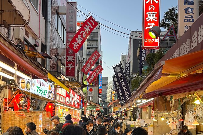 Private Half-Day Tour Colorful and Busy Street in Central Tokyo - Traveler Photos
