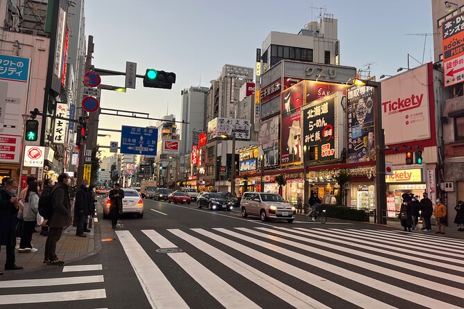 Private Half-Day Tour Colorful and Busy Street in Central Tokyo - Reviews