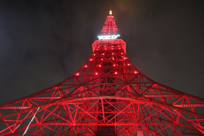 1 Day Pass at the Digital Amusement Park RED TOKYO TOWER - All Fees and Taxes