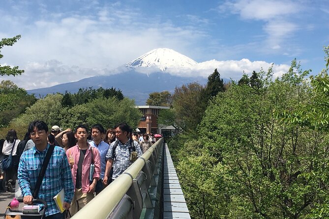 Private Car Mt Fuji and Gotemba Outlet in One Day From Tokyo - Unforgettable Views and Experiences in One Day