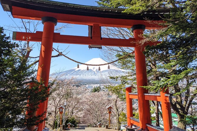 Private Car Mt Fuji and Gotemba Outlet in One Day From Tokyo - Making the Most of Your Tokyo Day Trip