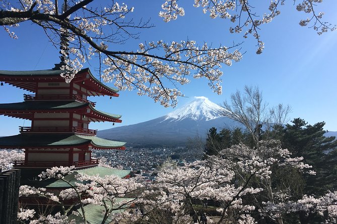 Private Car Mt Fuji and Gotemba Outlet in One Day From Tokyo - The Sum Up