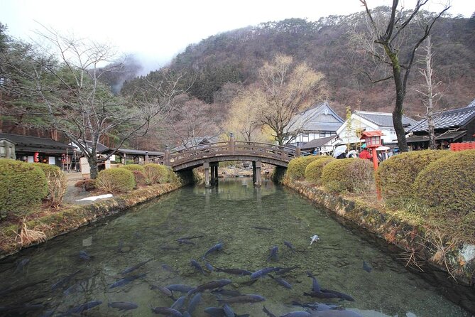 Private Tour: Chartered Car From Tokyo to Nikko, Toshogu, Edo Wonderland Etc - The Sum Up