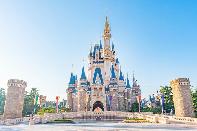 1 Day Ticket to Tokyo Disneyland With Private Transfer - Ticket Details and Pricing