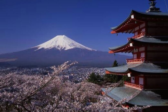 Mt Fuji Private Tour With English Speaking Driver - Additional Information