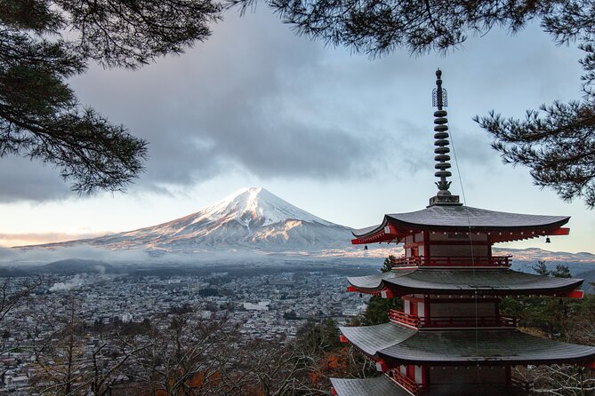 Mt Fuji, Hakone Private Tour by Car With Pickup - Reviews and Ratings