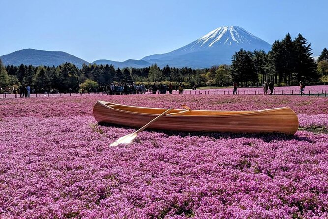 Mt Fuji, Hakone Private Tour by Car With Pickup - Customer Testimonial