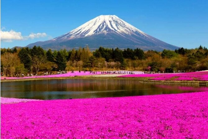 Mt Fuji, Hakone Private Tour by Car With Pickup - Directions