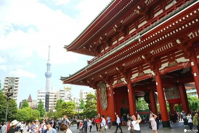 Private Tour by Car in Tokyo - Traveler Pickup and Drop-off