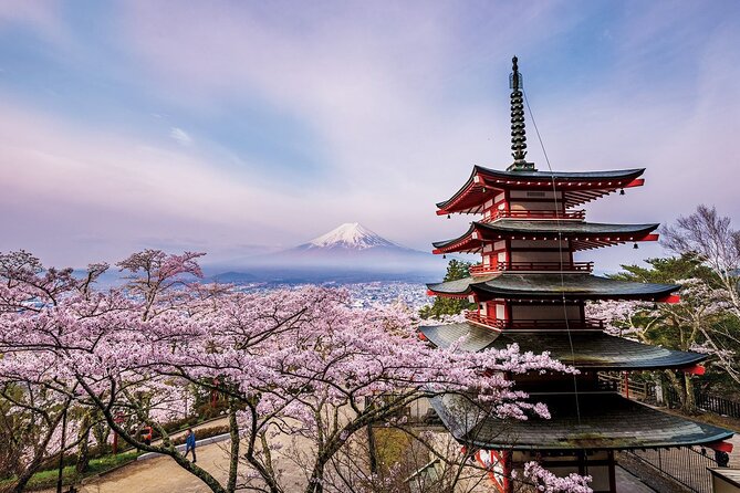 Mount Fuji & Hokane Lakes With English-Speaking Guide - Pricing and Booking Information