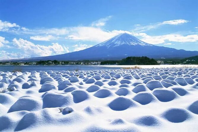 Mt.Fuji Tour: 3-Parks & The Healing Village in Fujiyoshida, Japan - The Healing Village