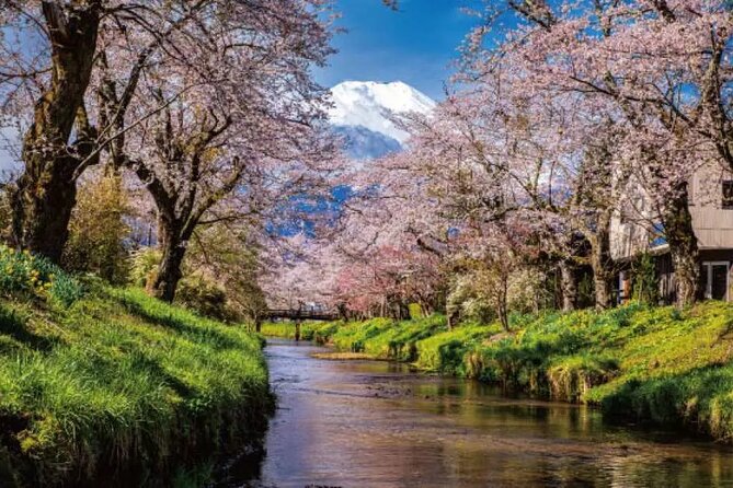 Mt. Fuji Majestic Tours : Shinjuku to Arakurayama and Beyond - Directions