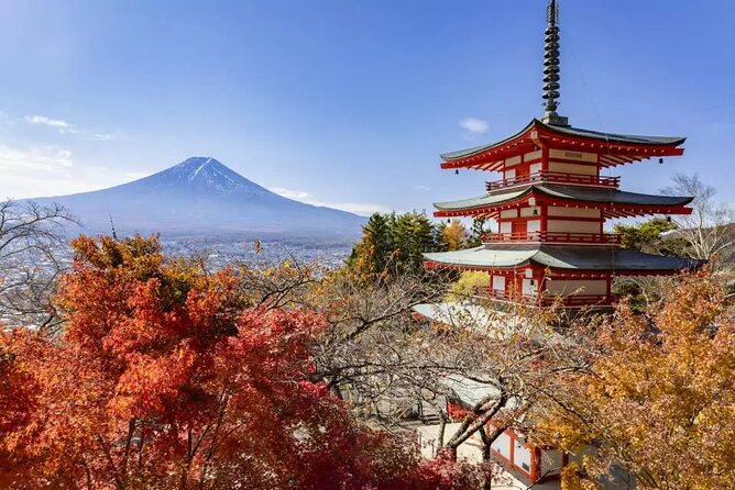 Mt. Fuji Majestic Tours : Shinjuku to Arakurayama and Beyond - Additional Information and Assistance