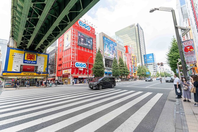 Exclusive Experience: Tailored Anime & Culture Tour in Akihabara - Additional Information and Resources