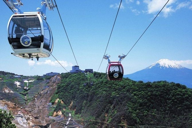 Mt. Fuji & Hakone 1 Day Tour From Tokyo (Return by Bullet Train in Option） - Included Lunch: Delicious Meal During the Tour