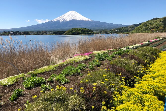 Full Day Mt.Fuji & Gotemba Premium To-And-From Tokyo, up to 12 - Duration and Pickup Options