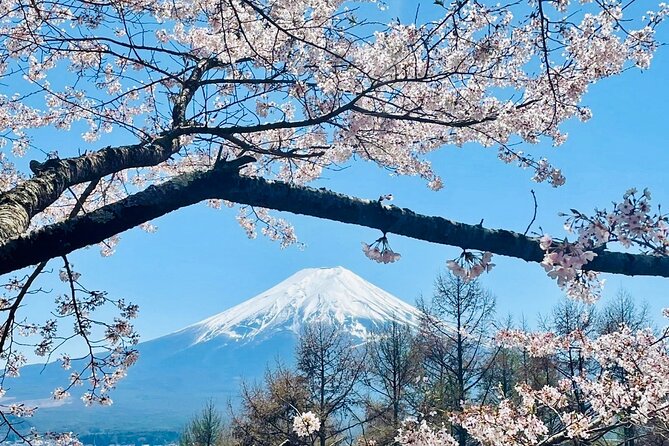 Full-Day Guided Private Tour in Mountain Fuji - Date and Travelers