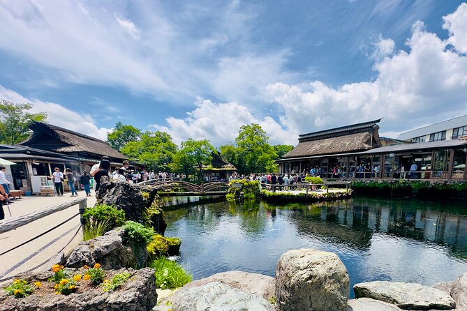 Full-Day Guided Private Tour in Mountain Fuji - Overview