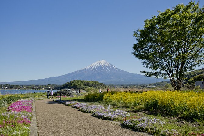 One Day Private Tour of Mt Fuji With English Speaking Driver - Additional Charges for Pickup and Drop-off