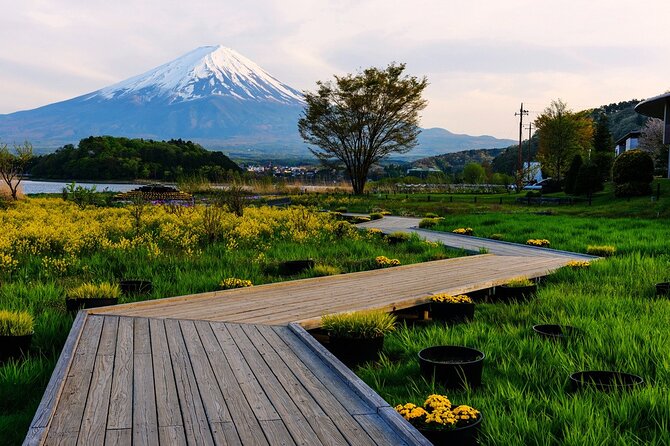 One Day Private Tour of Mt Fuji With English Speaking Driver - Reviews and Ratings of the Tour