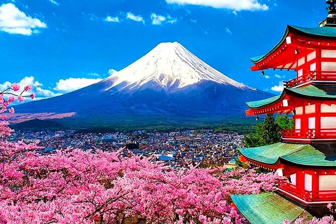 Private Guided Sightseeing Tour To Mount Fuji and Hakone - Pricing and Reservation Details