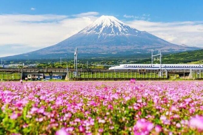 Private Guided Sightseeing Tour To Mount Fuji and Hakone - Reviews and Overall Rating