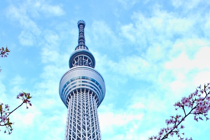 Kamakura or Tokyo Castamized Private Tour -English Speaking Guide - Pricing and Booking