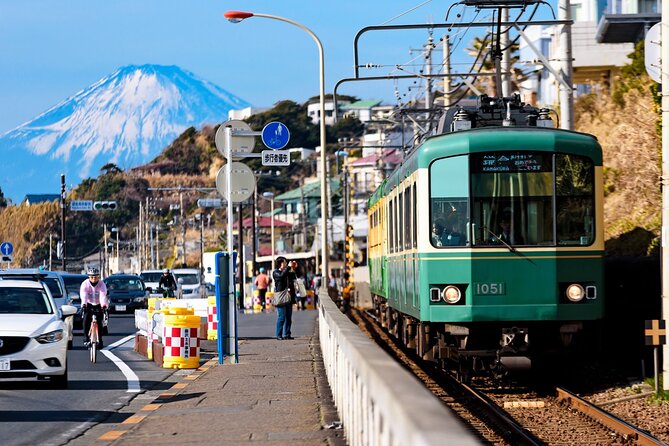 Kamakura or Tokyo Castamized Private Tour -English Speaking Guide - End of Tour