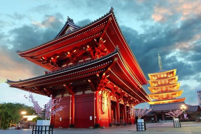 Private Transport 1 Day Tokyo Tour - Pricing and Guarantee