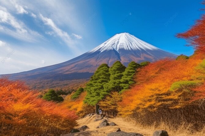 Private Transport Mt Fuji and Hakone 1 Day Trip - Meeting and Pickup Information