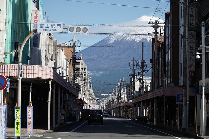 Private Transport Mt Fuji and Hakone 1 Day Trip - Tour Overview and Inclusions