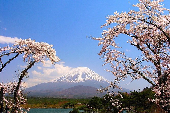 Private Transport Mt Fuji and Hakone 1 Day Trip - Cancellation Policy and Refunds