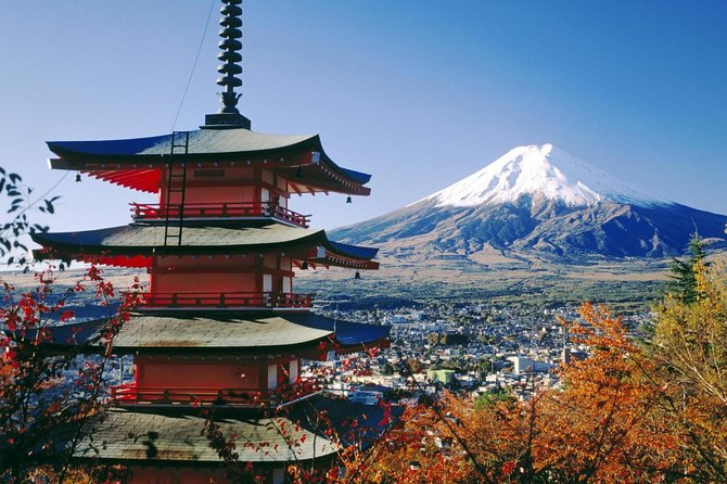 Private Transport Mt Fuji and Hakone 1 Day Trip - Recommendations for the Trip