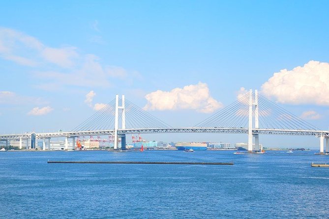 Yokohama Port Shared Transfer : From Haneda Airport to Yokohama Port - Baggage Allowance