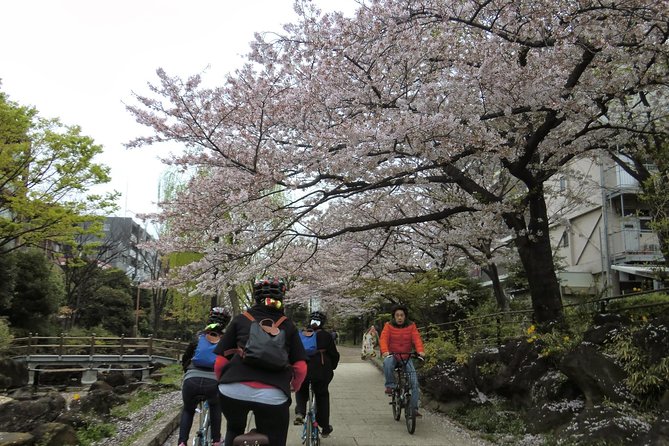 Tokyo by Bike: Skytree, Kiyosumi Garden and Sumo Stadium - Shitamachi District Bike Ride