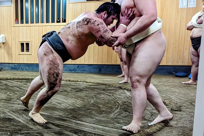 Morning Sumo Practice Viewing in Tokyo - Traveler Photos