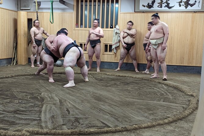 Morning Sumo Practice Viewing in Tokyo - The Sum Up