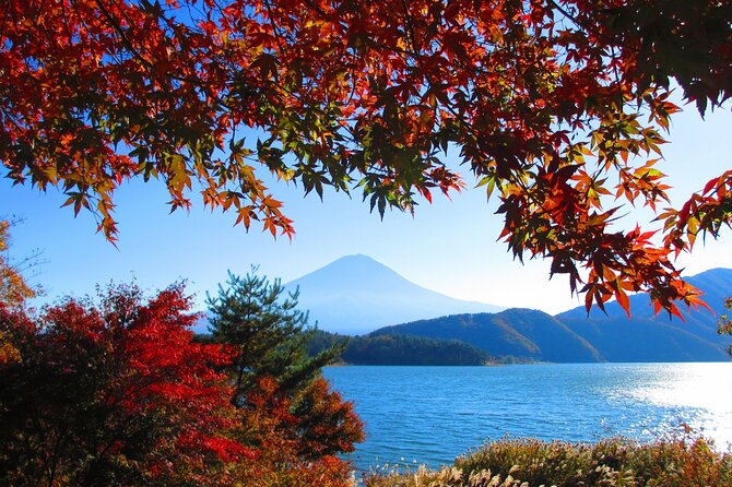 Tokyo: Day Trip to Lake Kawaguchi and Craft Experience - Cancellation Policy