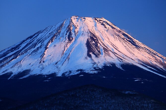 Tokyo to Mt Fuji, Oshino Hakkai: 1-Day Group Tour and Shopping 2024 - Booking Process